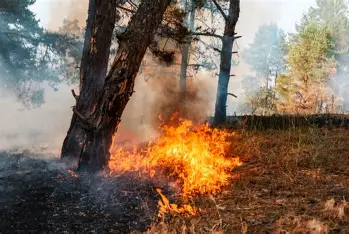 Dichiarazione stato di massima pericolosità per gli incendi boschivi